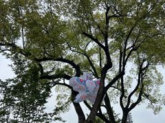 -慈城古县城景区