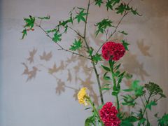 -璞素(浦东店)
