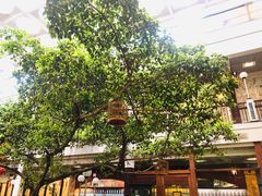 -广州酒家(文昌总店)