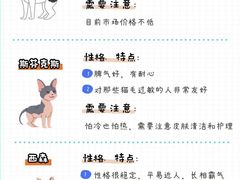 -Bastet sally猫舍购宠(静安店)