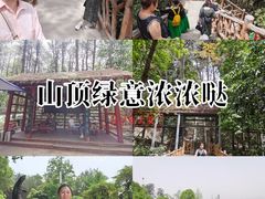 -铁山坪森林公园