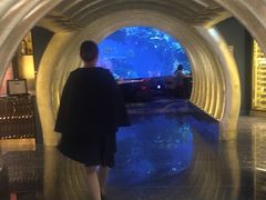 -迪拜帆船酒店海底餐厅