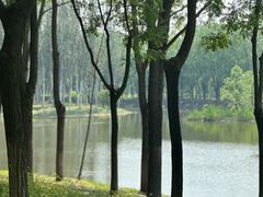 -东郊湿地公园