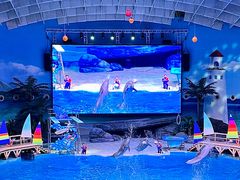 -海合安武汉极地海洋公园