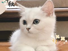 -昆山裕元花园酒店·温莎西餐厅