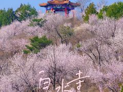 -白水寺森林公园