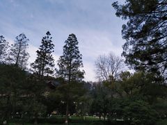 -杭州花家山庄