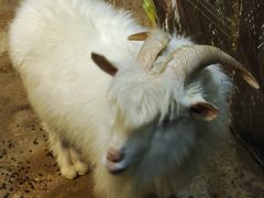 -苏州海洋馆