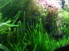 -上海海洋水族馆