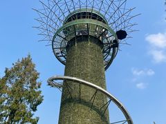 -黄海国家森林公园