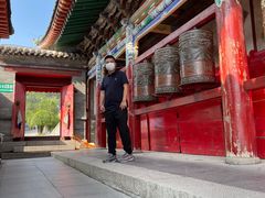 -塔尔寺-菩提树