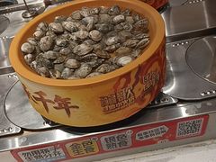 -龍歌自助小火锅(芝罘万达店)