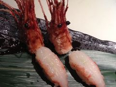 -左舞日本料理