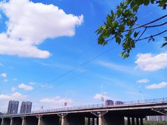 -长白岛森林公园