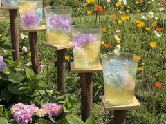 -名花谷生态庄园