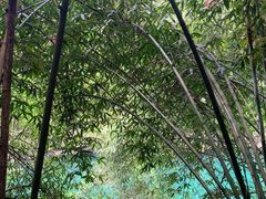 -香桥岩溶国家地质公园