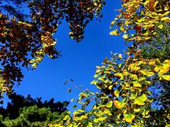 -国家植物园南园