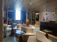-瞄一喵猫咖(格力海岸店)