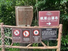 -海南热带雨林国家公园吊罗山景区