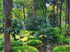 -成都市活水公园