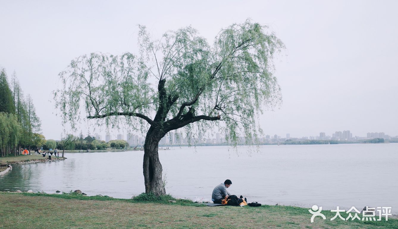 春风又绿江南岸，来蠡湖边走走吧！