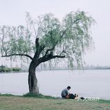 春风又绿江南岸，来蠡湖边走走吧！