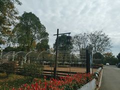 -三江森林温泉度假区