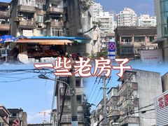 -花园菜市场