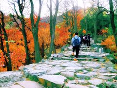 -北京鹫峰国家森林公园