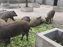 -长安上水缘度假庄园