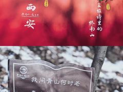 -终南山国家森林公园