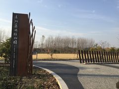 -溱湖国家湿地公园