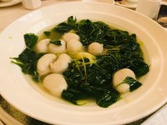 上汤枸杞叶鱼青丸-黄埔华苑酒家(黄埔店)