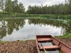 -东郊湿地公园