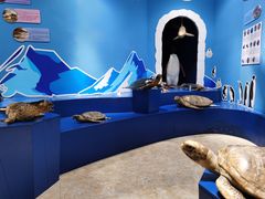 -多彩贵州城极地海洋世界