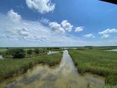 -盐城丹顶鹤湿地生态旅游区