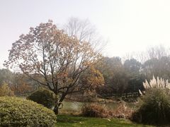 -昆山城市生态森林公园