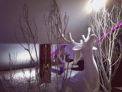 -佰迪乐KTV(阳桥店)