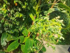 -南宫温泉水世界