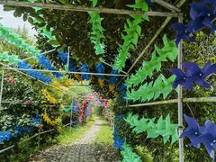 -头塘庄园(农家乐)