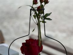-禧室Joyous Lounge(禧园店)