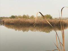 -西青郊野公园