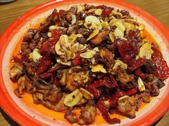 -柴窝堡22号辣子鸡·传承新疆菜