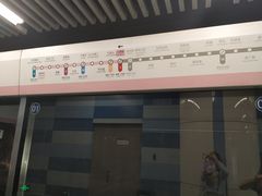 -大望路(地铁站)