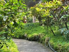 -梧桐山风景名胜区