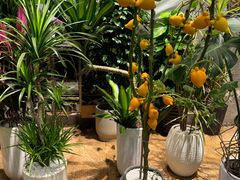 -双季花艺园艺市场(浦东店)