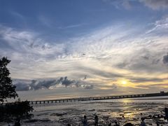 -宝安西湾红树林湿地公园