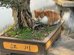 -西园戒幢律寺