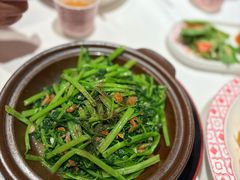 -谭厨中山传家菜.乳鸽.脆鲩鱼(华强北中航城店)