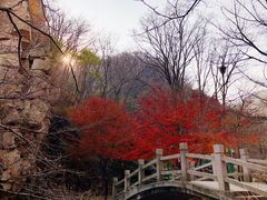 -崂山九水游览区